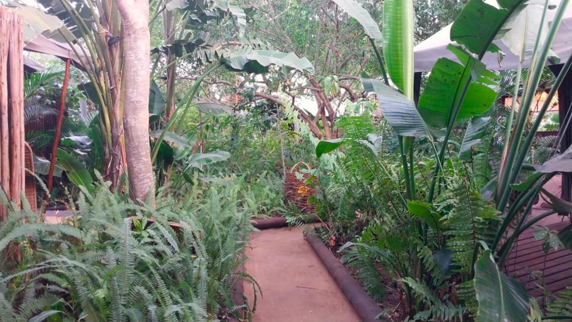 Devocean Eco Adventure Lodge Ponta do Ouro Eksteriør bilde