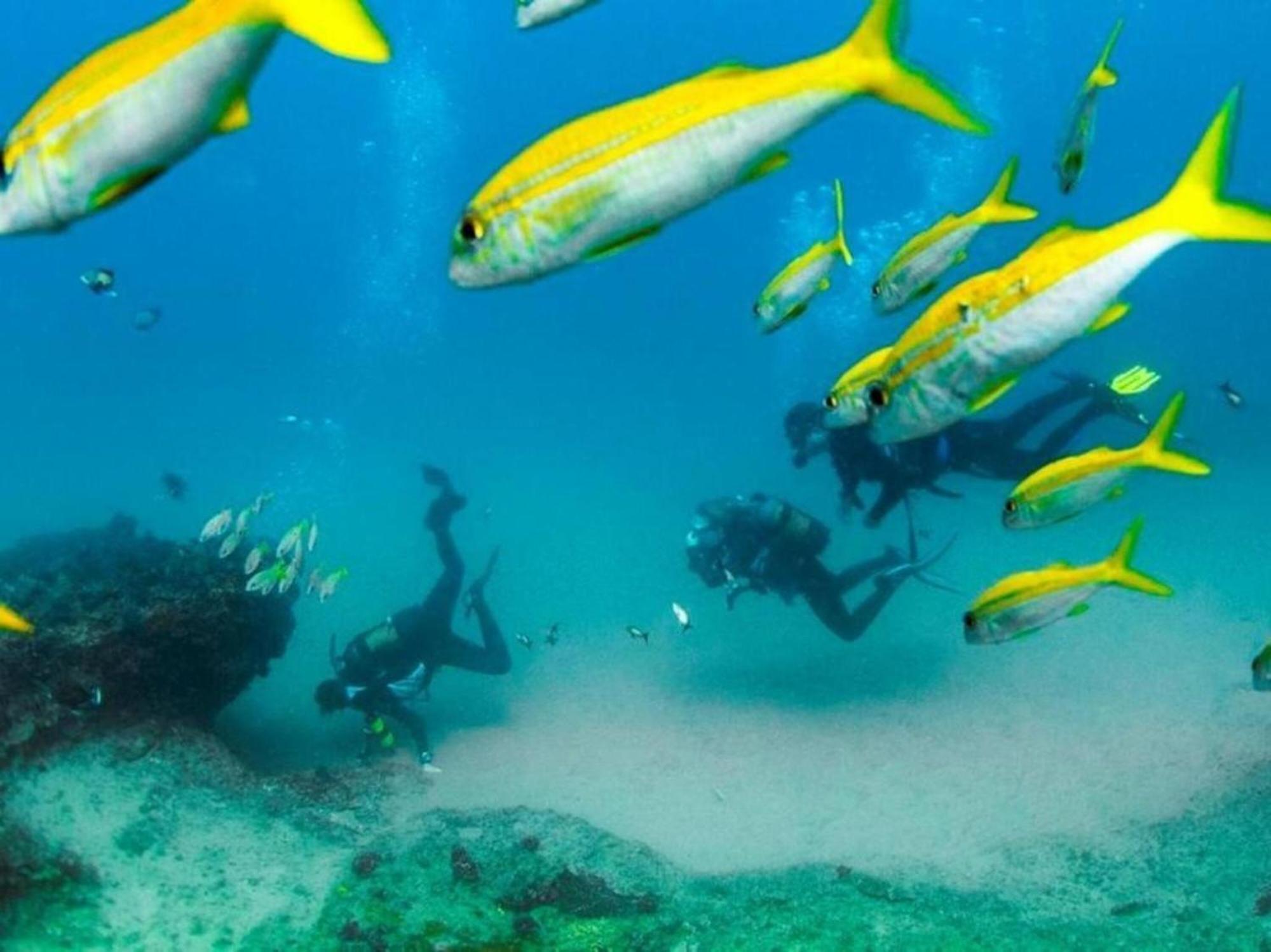 Devocean Eco Adventure Lodge Ponta do Ouro Eksteriør bilde