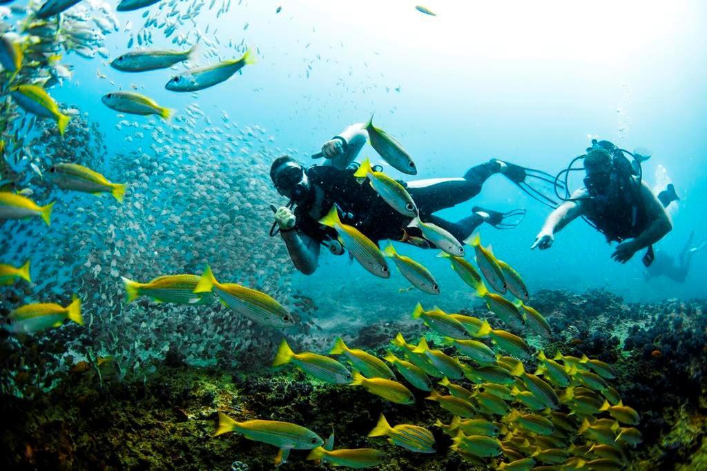 Devocean Eco Adventure Lodge Ponta do Ouro Eksteriør bilde