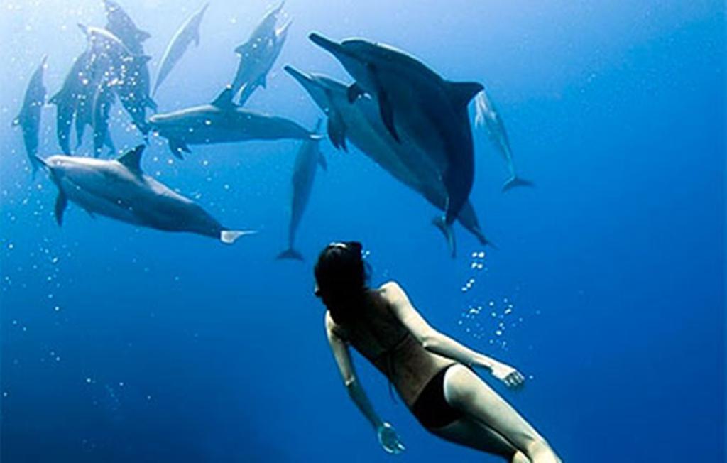 Devocean Eco Adventure Lodge Ponta do Ouro Eksteriør bilde